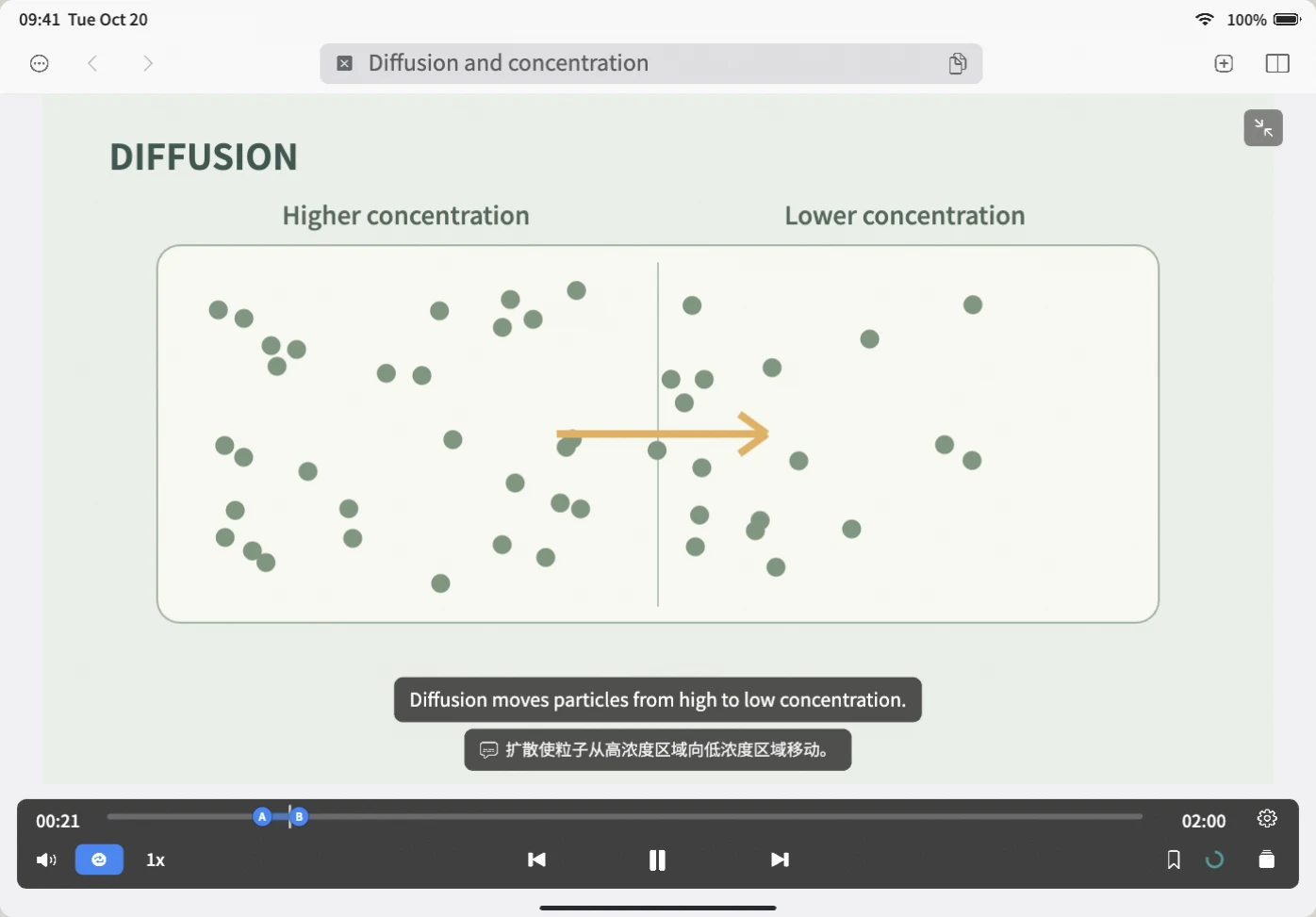 iPad demonstration: hold the loop control, choose the current subtitle, and press play. Watch progress return to A. Turn the loop off and press play again. The lesson and bilingual subtitles are original examples; this web demo is silent.